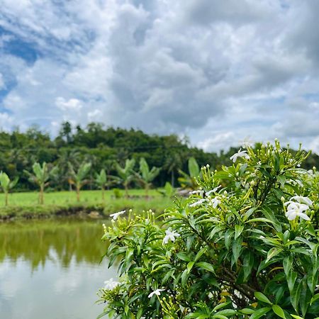 Jazz Ferme Inn Batuan Bohol 외부 사진