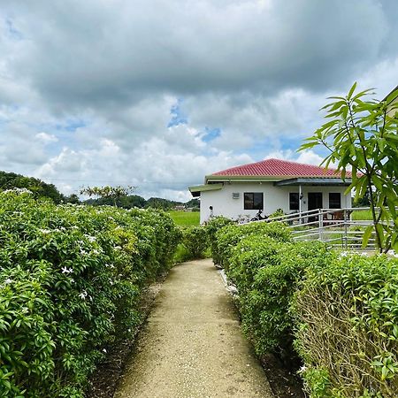 Jazz Ferme Inn Batuan Bohol 외부 사진
