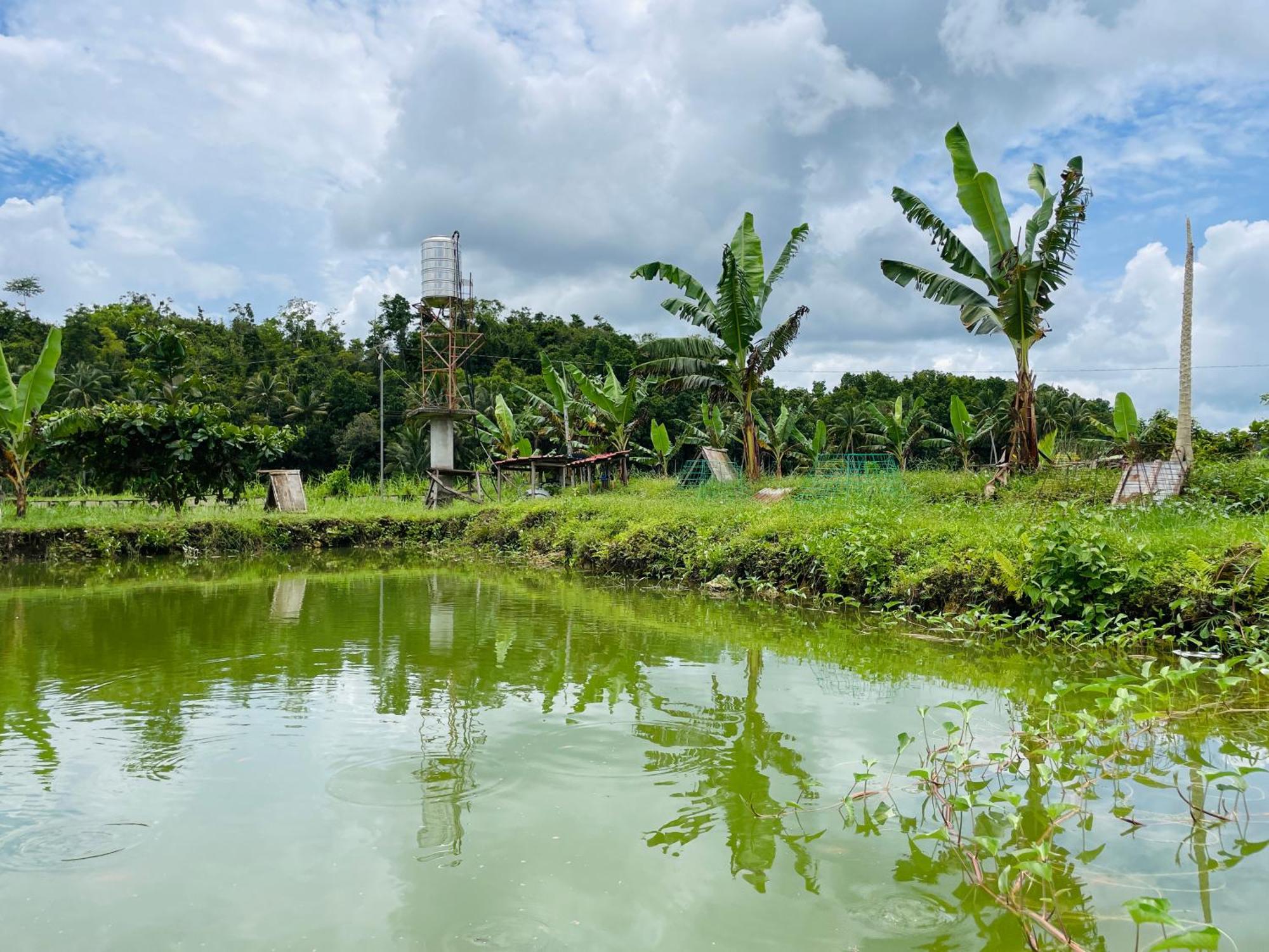 Jazz Ferme Inn Batuan Bohol 외부 사진