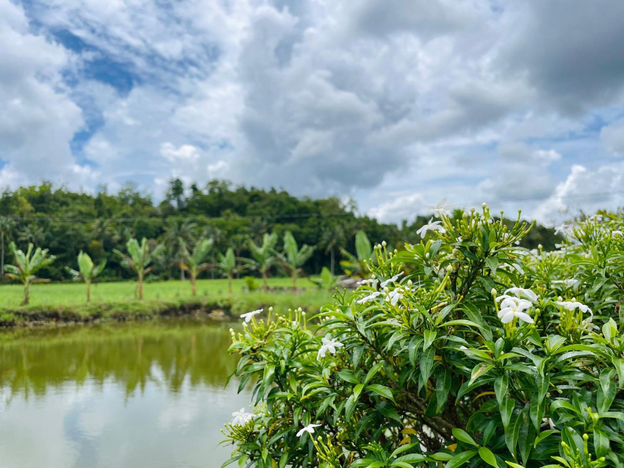 Jazz Ferme Inn Batuan Bohol 외부 사진