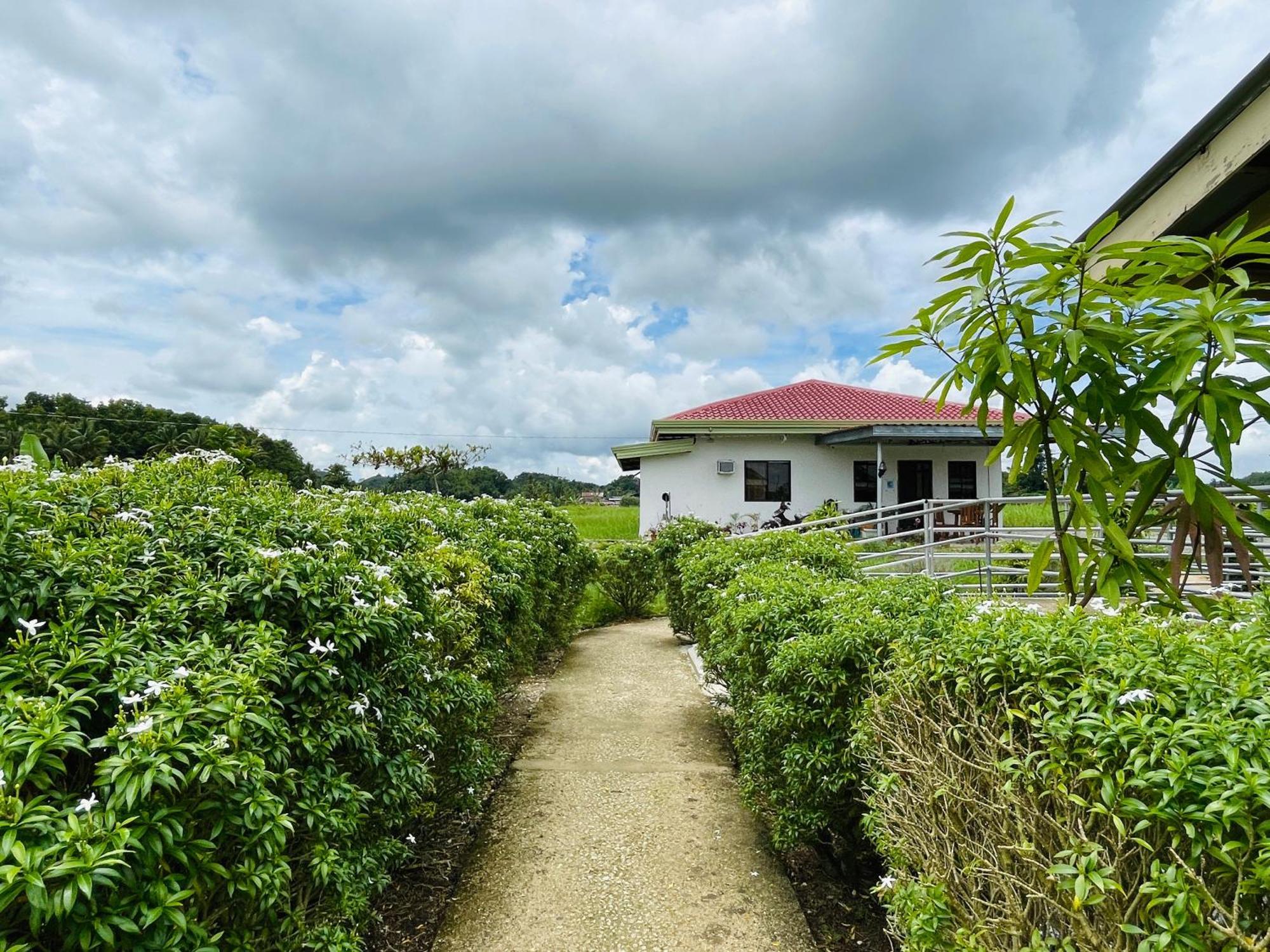 Jazz Ferme Inn Batuan Bohol 외부 사진