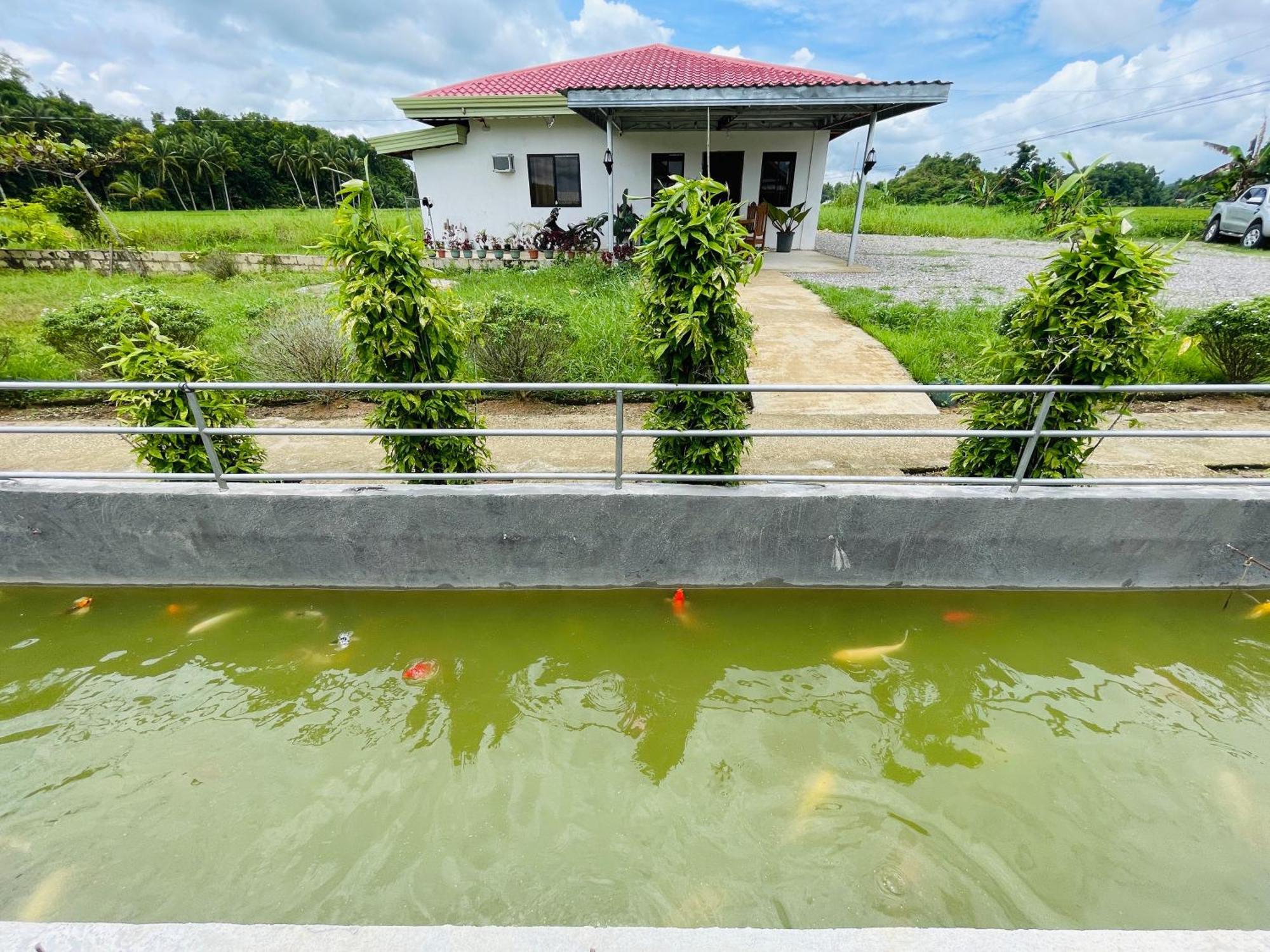 Jazz Ferme Inn Batuan Bohol 외부 사진