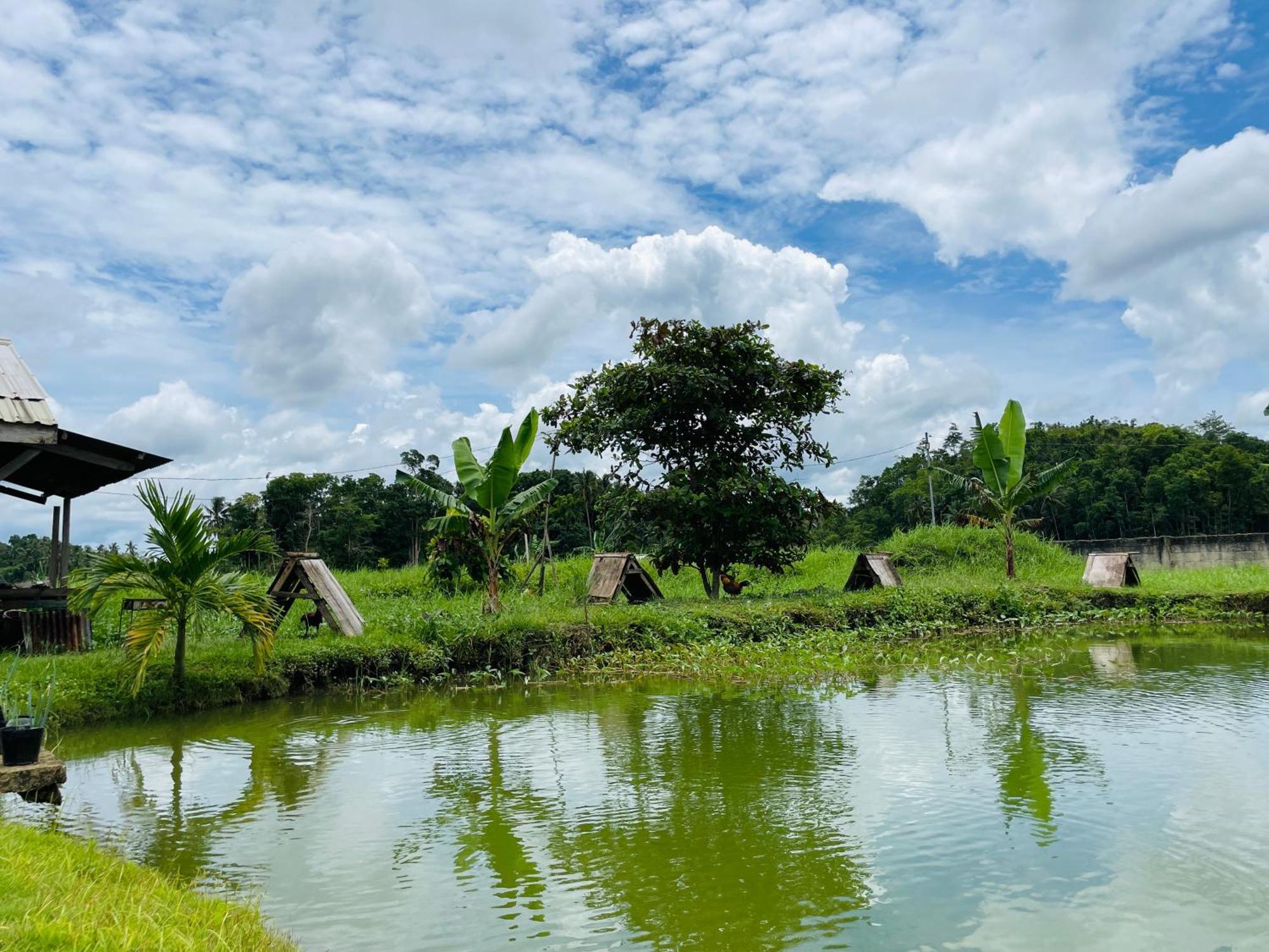 Jazz Ferme Inn Batuan Bohol 외부 사진